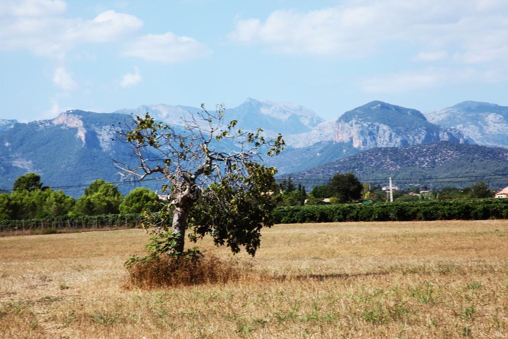 Petit Torrent Fals Villa Santa Eugenia ภายนอก รูปภาพ